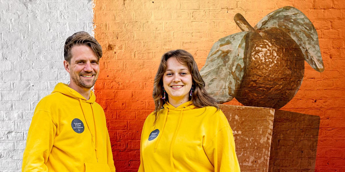 Netwerk Nieuw Rotterdam