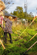Kinderen in de moestuin 