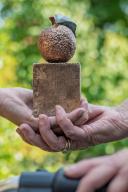 Voorstel_foto_algemene_Appeltjes_pagina_02[1].jpg