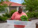 Caribische eilanden project Saba Reach CTA